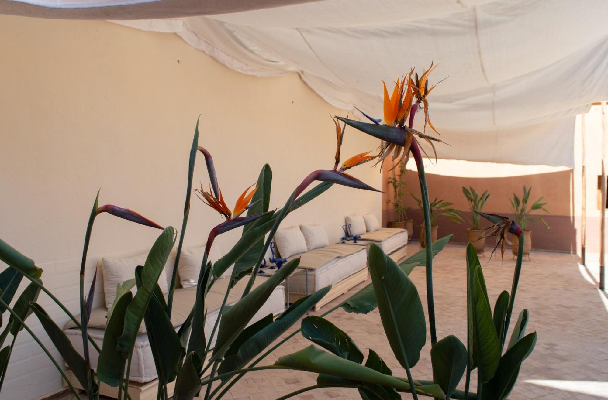 Ferme D'Hote Zomorroda Marrakesh Extérieur photo